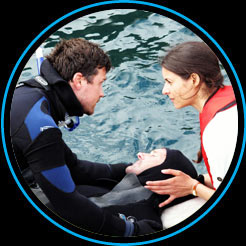 Sehnsucht nach Paradise Island 